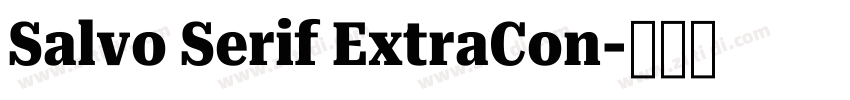 Salvo Serif ExtraCon字体转换